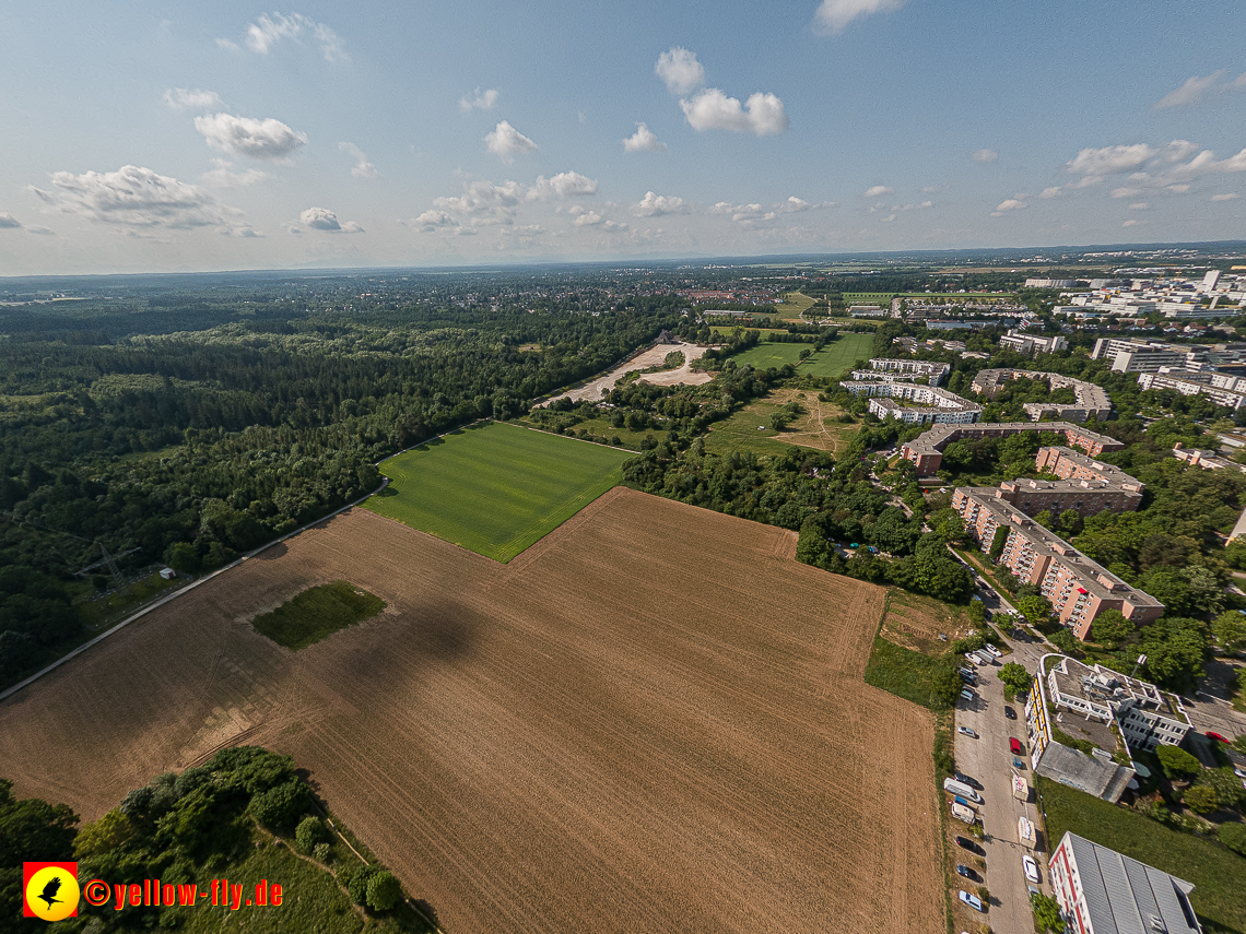 07.06.2023 - der Noch-Acker in Neuperlach 